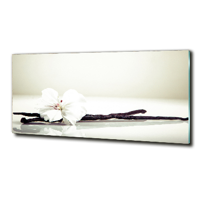 Quadro vetro Baccello di vaniglia