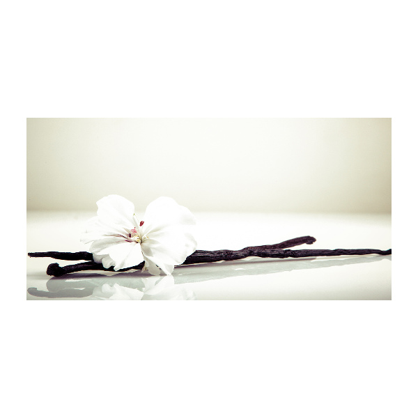 Quadro vetro Baccello di vaniglia