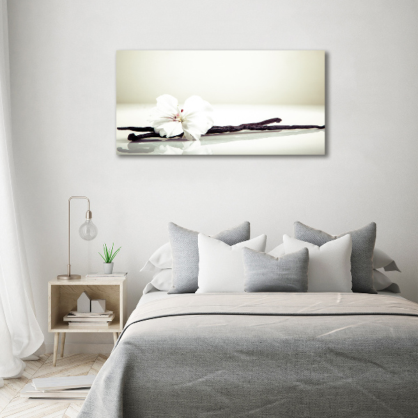 Quadro vetro Baccello di vaniglia