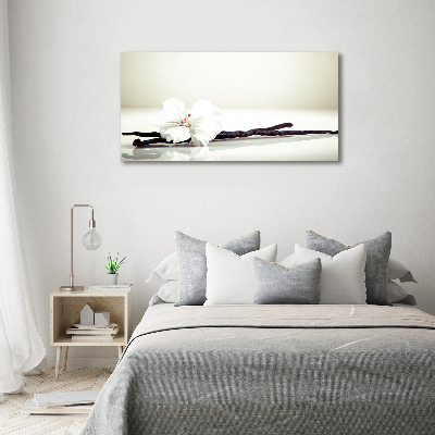 Quadro vetro Baccello di vaniglia