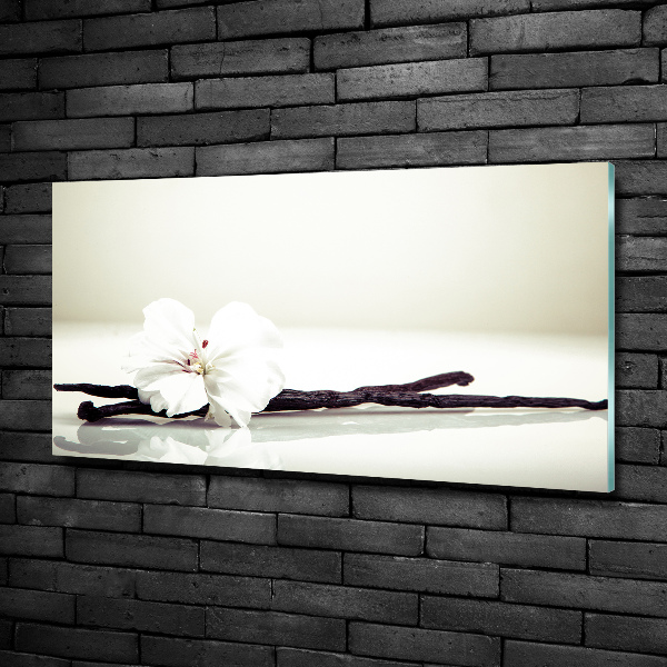 Quadro vetro Baccello di vaniglia