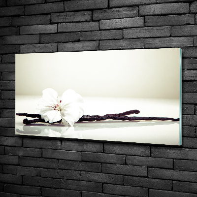 Quadro vetro Baccello di vaniglia