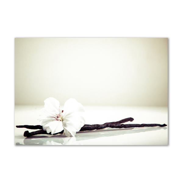 Quadro vetro Baccello di vaniglia