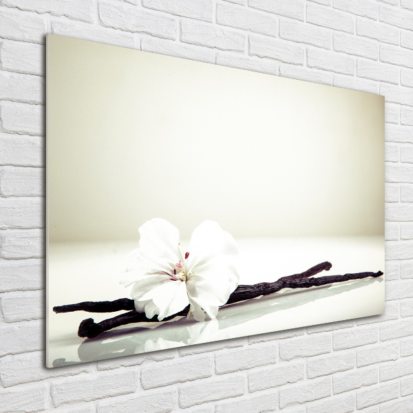 Quadro vetro Baccello di vaniglia