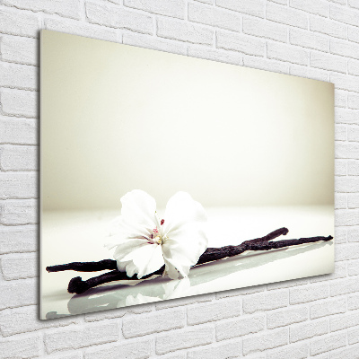 Quadro vetro Baccello di vaniglia