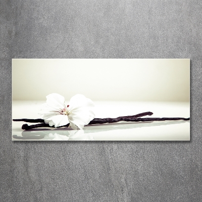 Quadro vetro Baccello di vaniglia