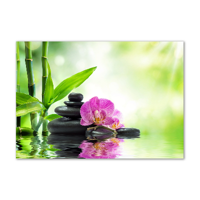 Quadro su vetro Orchidea