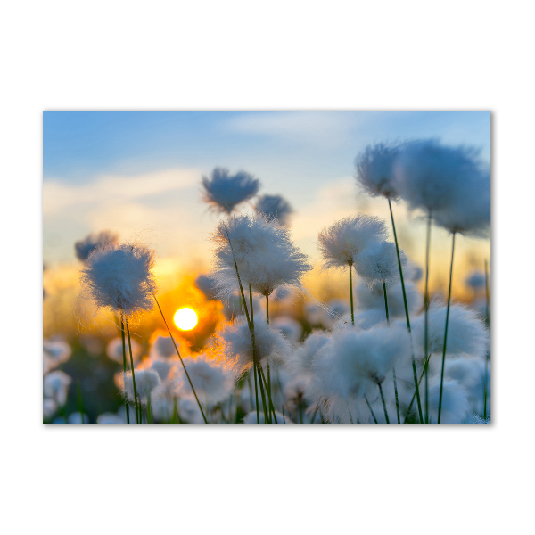 Quadro vetro Erba cotone