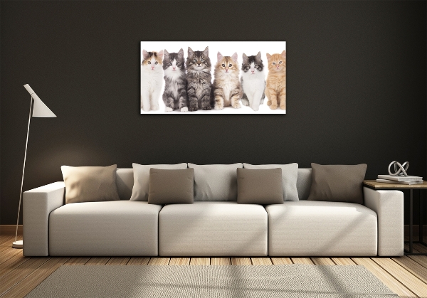 Quadro su vetro Sei gatti
