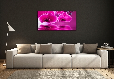 Quadro su vetro Orchidea