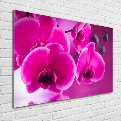 Quadro su vetro Orchidea