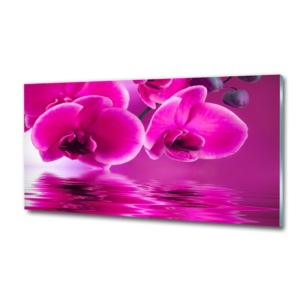 Quadro su vetro Orchidea