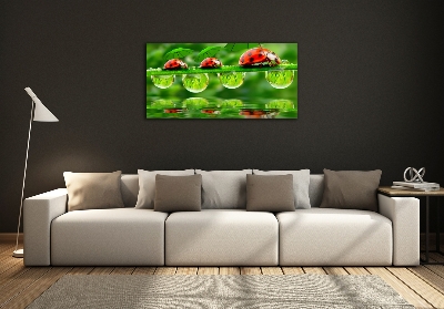 Quadro in verde Ombrelli a forma di coccinella
