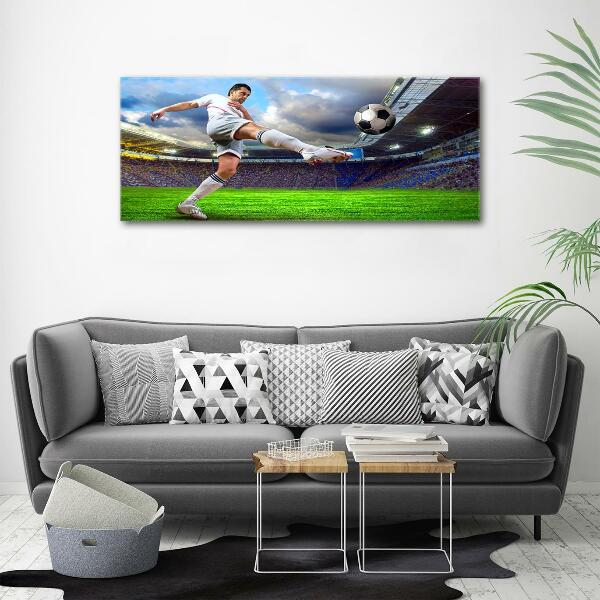 Quadro su vetro Un calciatore allo stadio