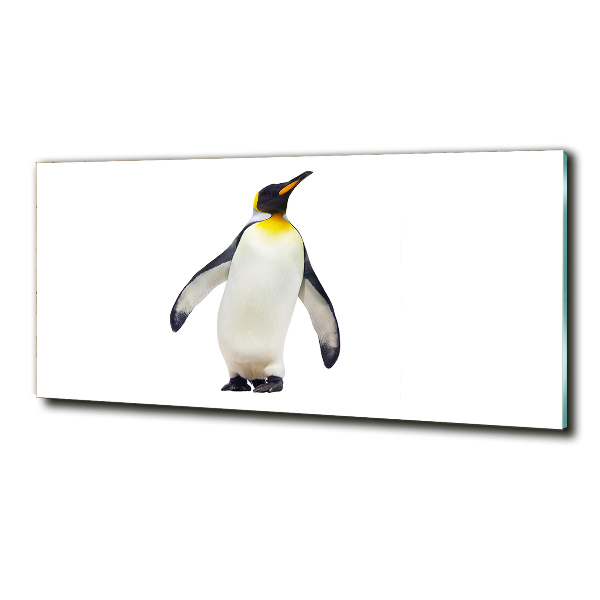 Quadro vetro Pinguino