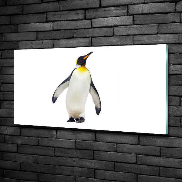 Quadro vetro Pinguino