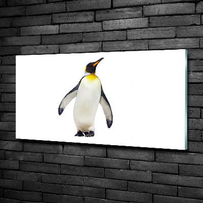 Quadro vetro Pinguino