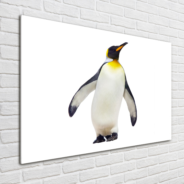 Quadro vetro Pinguino