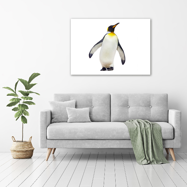 Quadro vetro Pinguino