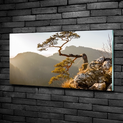 Quadro in verde Sokolica Pieniny