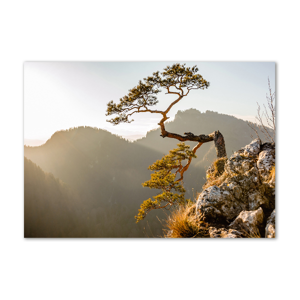 Quadro in verde Sokolica Pieniny