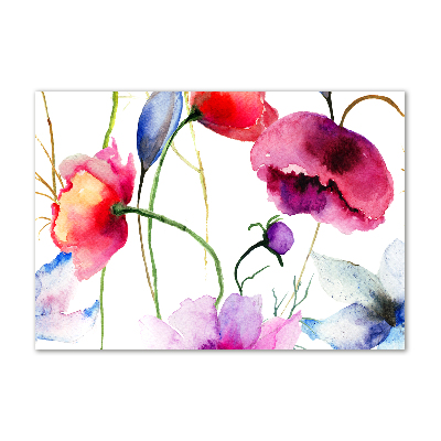 Quadro su vetro Papaveri