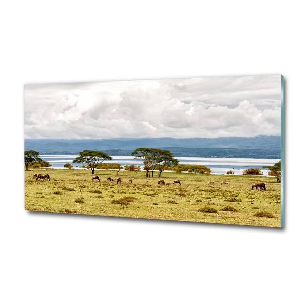 Quadro su vetro Lago Naivasha