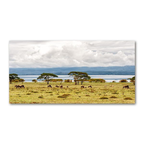 Quadro su vetro Lago Naivasha