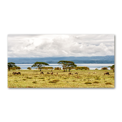Quadro su vetro Lago Naivasha