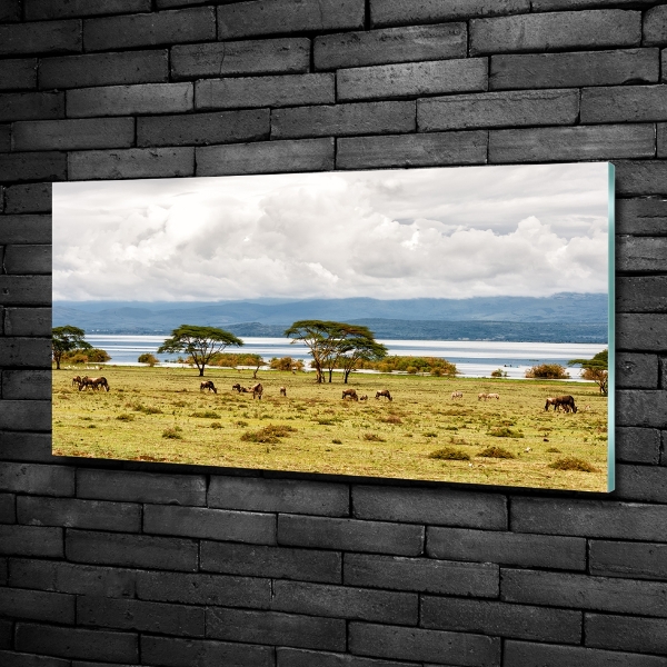 Quadro su vetro Lago Naivasha