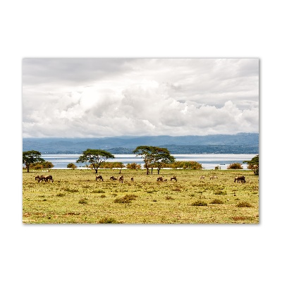 Quadro su vetro Lago Naivasha