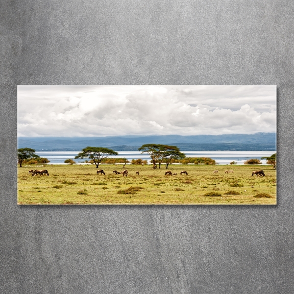 Quadro su vetro Lago Naivasha