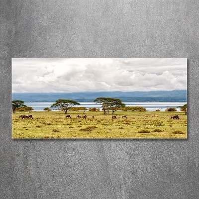Quadro su vetro Lago Naivasha