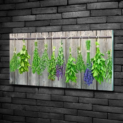 Quadro in vetro Erbe aromatiche su un filo