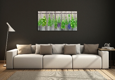 Quadro in vetro Erbe aromatiche su un filo