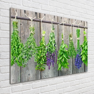 Quadro in vetro Erbe aromatiche su un filo