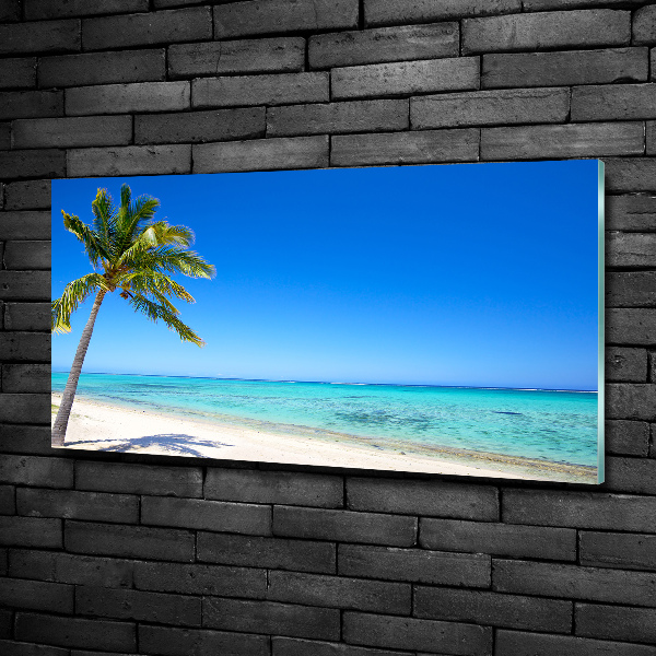 Quadro su vetro Spiaggia tropicale