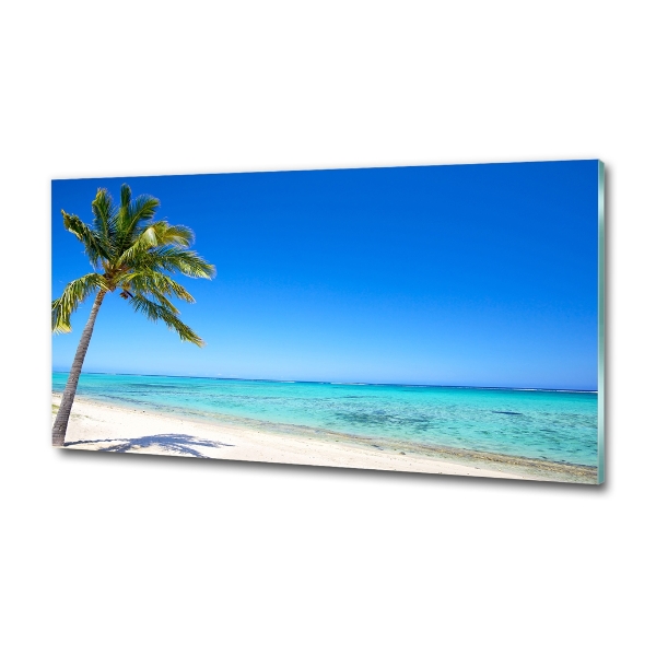 Quadro su vetro Spiaggia tropicale