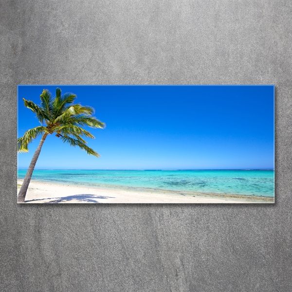 Quadro su vetro Spiaggia tropicale