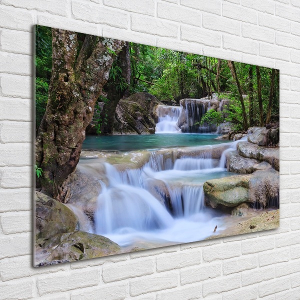 Quadro su vetro Cascata nella foresta