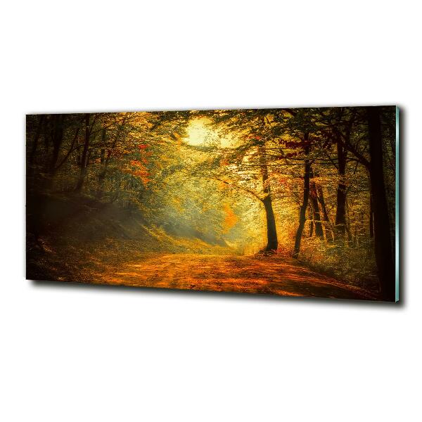 Quadro vetro Foresta in autunno