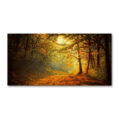 Quadro vetro Foresta in autunno