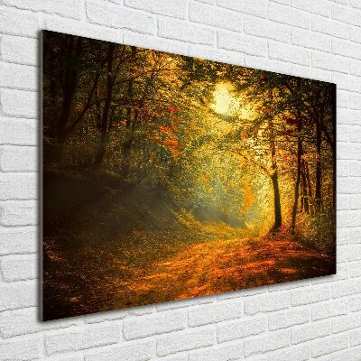 Quadro vetro Foresta in autunno