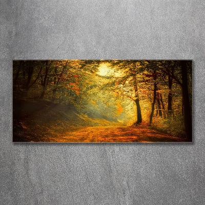 Quadro vetro Foresta in autunno