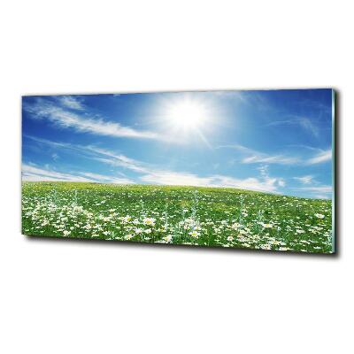 Quadro in vetro Prato