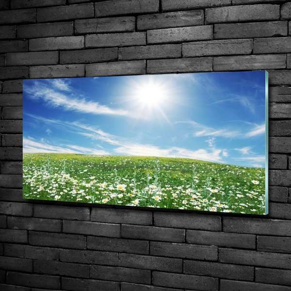 Quadro in vetro Prato