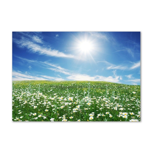 Quadro in vetro Prato