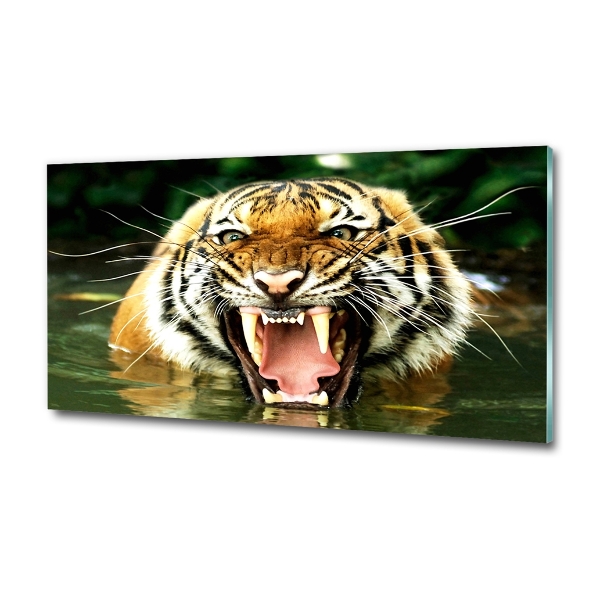 Quadro vetro Tigre ruggente