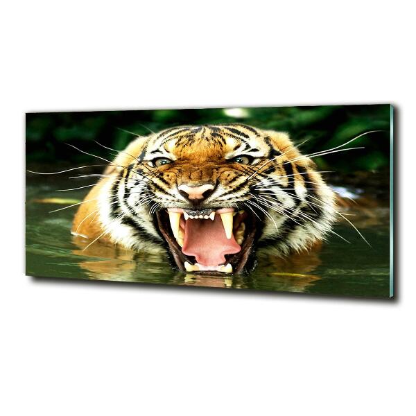 Quadro vetro Tigre ruggente