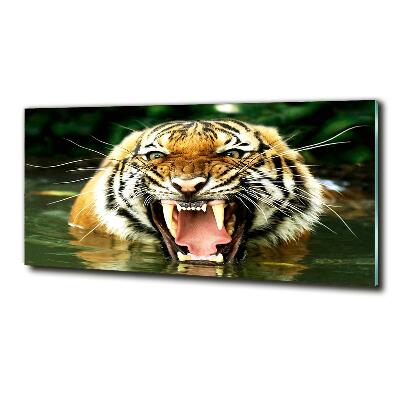 Quadro vetro Tigre ruggente